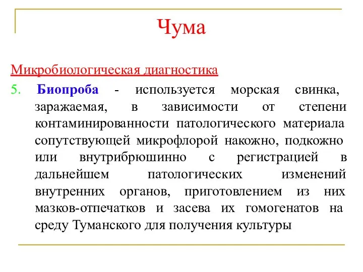 Чума Микробиологическая диагностика 5. Биопроба - используется морская свинка, заражаемая, в зависимости