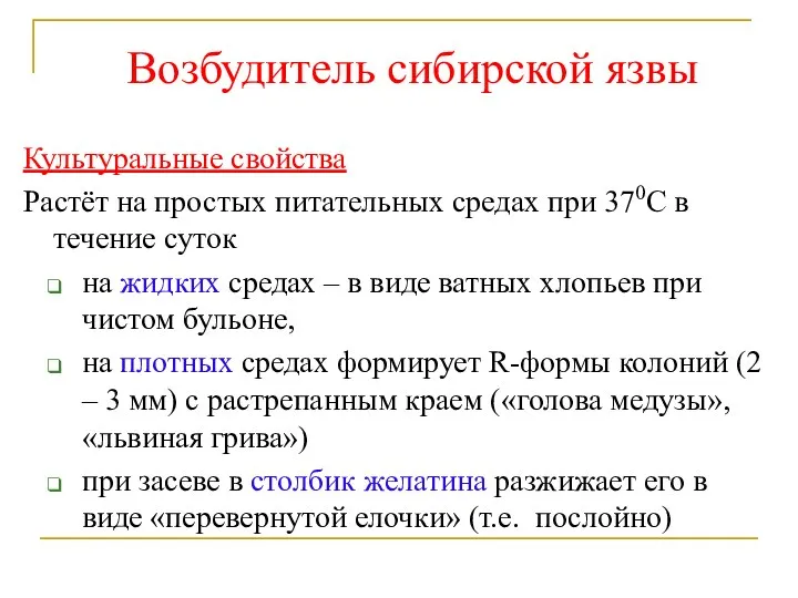 Возбудитель сибирской язвы Культуральные свойства Растёт на простых питательных средах при 370С