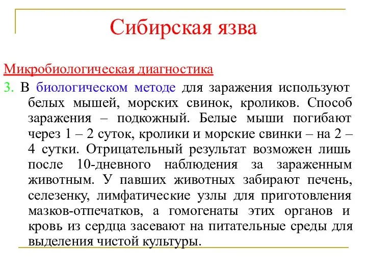 Сибирская язва Микробиологическая диагностика 3. В биологическом методе для заражения используют белых