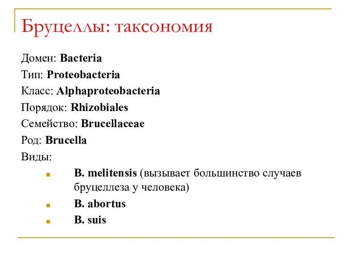 Бруцеллы: таксономия Домен: Bacteria Тип: Proteobacteria Класс: Alphaproteobacteria Порядок: Rhizobiales Семейство: Brucellaceae
