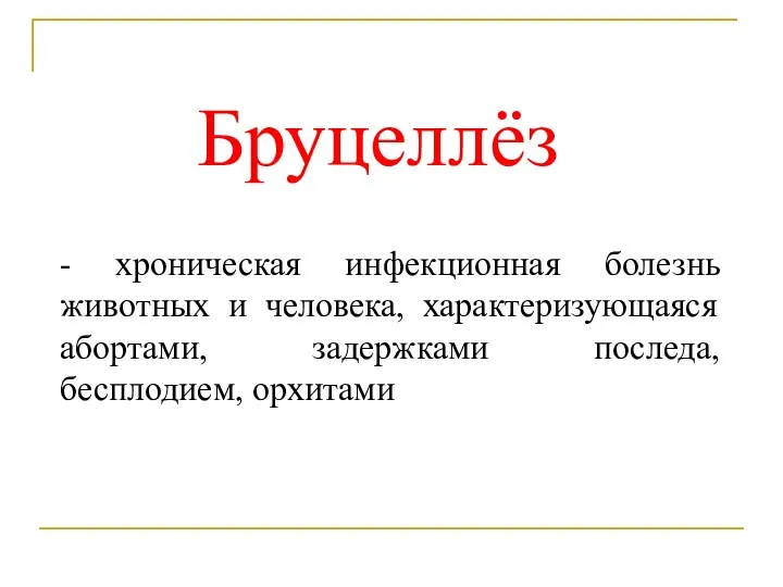 Бруцеллёз - хроническая инфекционная болезнь животных и человека, характеризующаяся абортами, задержками последа, бесплодием, орхитами