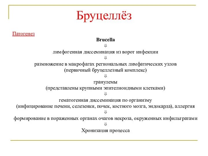 Бруцеллёз Патогенез Brucella ⇓ лимфогенная диссеминация из ворот инфекции ⇓ размножение в