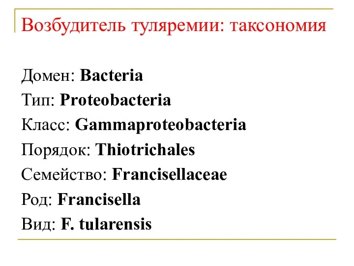 Возбудитель туляремии: таксономия Домен: Bacteria Тип: Proteobacteria Класс: Gammaproteobacteria Порядок: Thiotrichales Семейство: