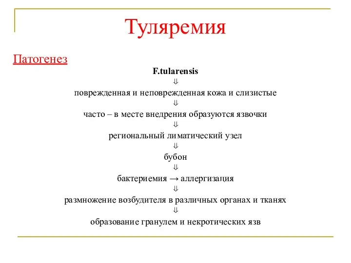 Туляремия Патогенез F.tularensis ⇓ поврежденная и неповрежденная кожа и слизистые ⇓ часто