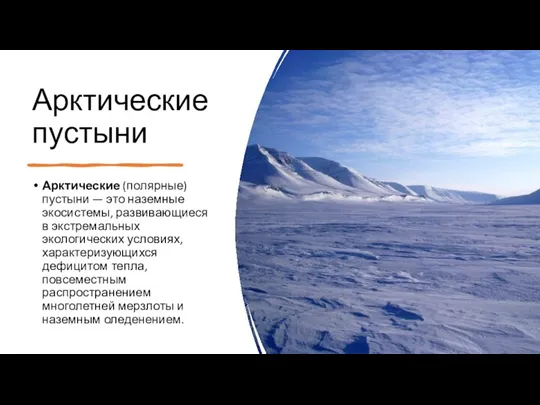 Арктические пустыни Арктические (полярные) пустыни — это наземные экосистемы, развивающиеся в экстремальных