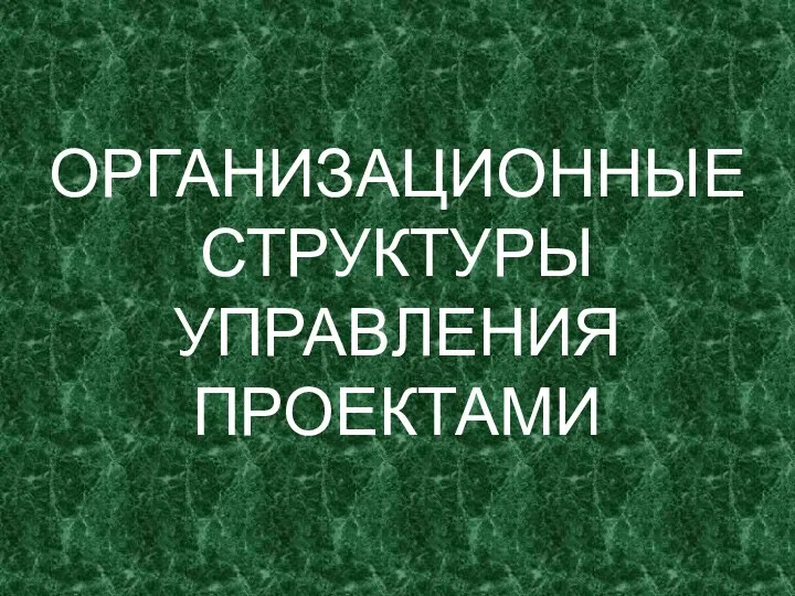 ОРГАНИЗАЦИОННЫЕ СТРУКТУРЫ УПРАВЛЕНИЯ ПРОЕКТАМИ