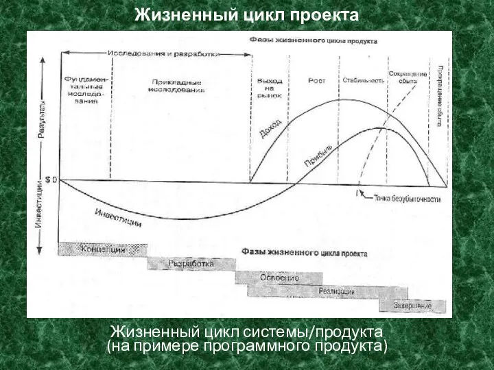 Жизненный цикл проекта Жизненный цикл системы/продукта (на примере программного продукта)