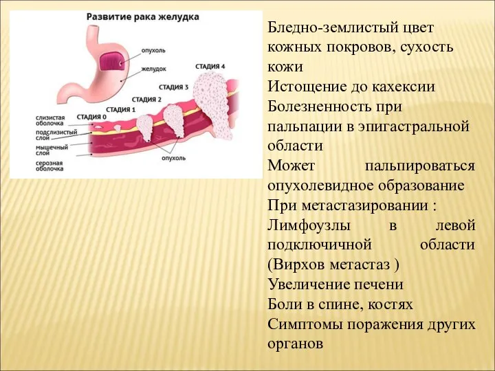 Бледно-землистый цвет кожных покровов, сухость кожи Истощение до кахексии Болезненность при пальпации