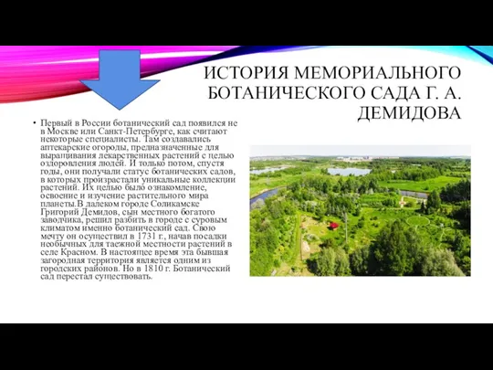 ИСТОРИЯ МЕМОРИАЛЬНОГО БОТАНИЧЕСКОГО САДА Г. А. ДЕМИДОВА Первый в России ботанический сад