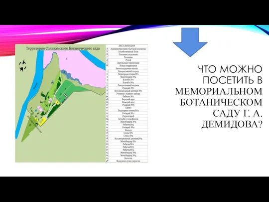 ЧТО МОЖНО ПОСЕТИТЬ В МЕМОРИАЛЬНОМ БОТАНИЧЕСКОМ САДУ Г. А. ДЕМИДОВА?