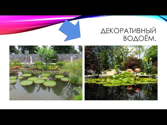 ДЕКОРАТИВНЫЙ ВОДОЁМ.