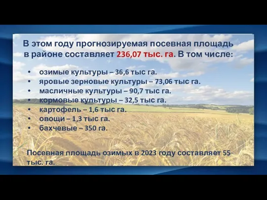 озимые культуры – 36,6 тыс га. яровые зерновые культуры – 73,06 тыс