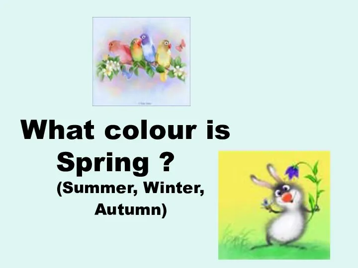 What colour is Spring ? (Summer, Winter, Autumn)