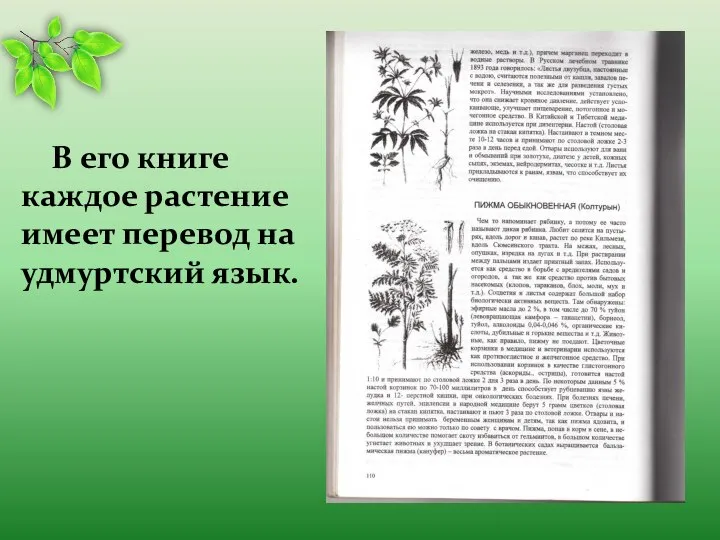 В его книге каждое растение имеет перевод на удмуртский язык.