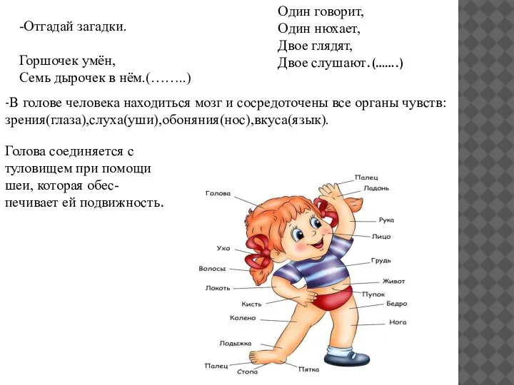 -Отгадай загадки. Горшочек умён, Семь дырочек в нём.(……..) Один говорит, Один нюхает,