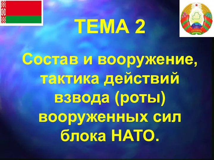 ТЕМА 2 Состав и вооружение, тактика действий взвода (роты) вооруженных сил блока НАТО.