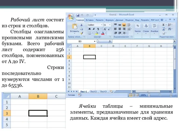 Рабочий лист состоит из строк и столбцов. Столбцы озаглавлены прописными латинскими буквами.