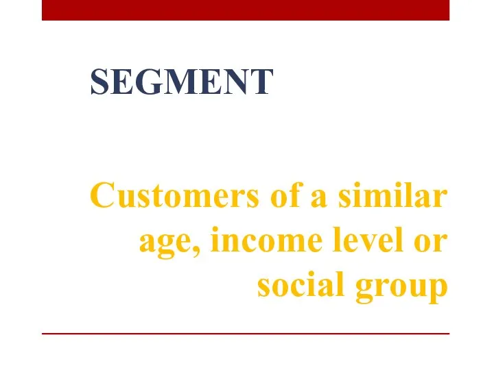 SEGMENT Customers of a similar age, income level or social group