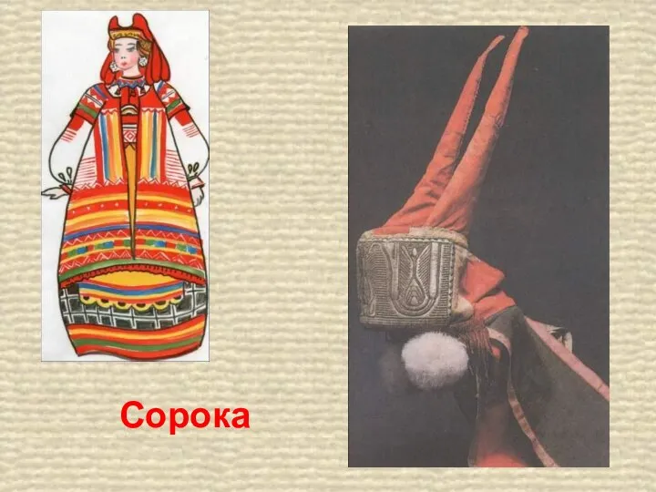 Сорока