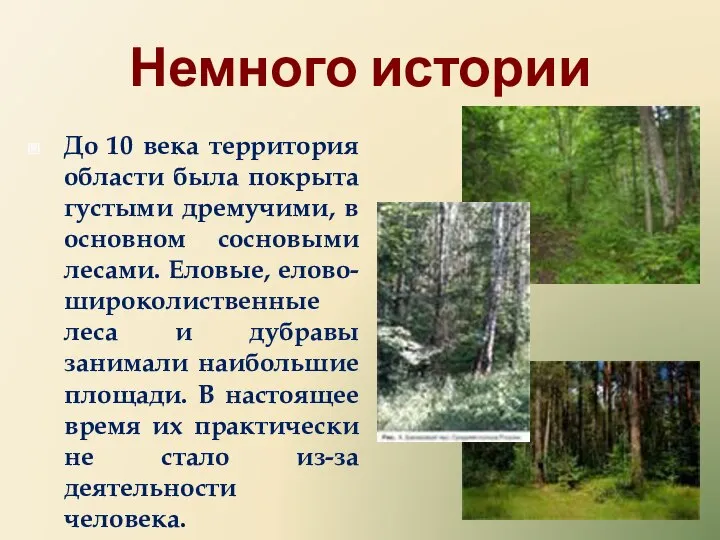 Немного истории До 10 века территория области была покрыта густыми дремучими, в