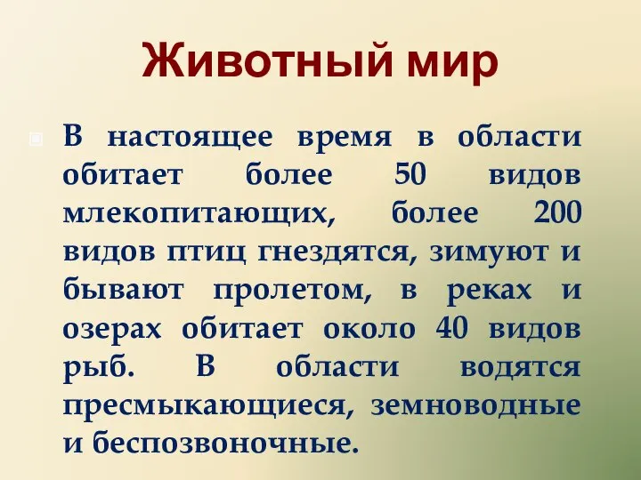 Животный мир В настоящее время в области обитает более 50 видов млекопитающих,