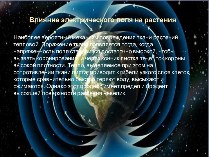 Влияние электрического поля на растения Наиболее вероятный механизм повреждения ткани растений -