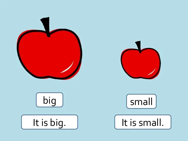 big small It is big. It is small.