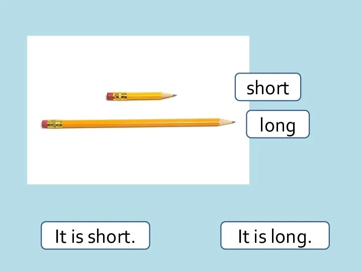 short long It is short. It is long.