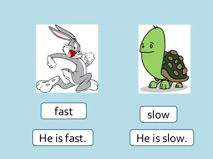 fast slow He is fast. He is slow.