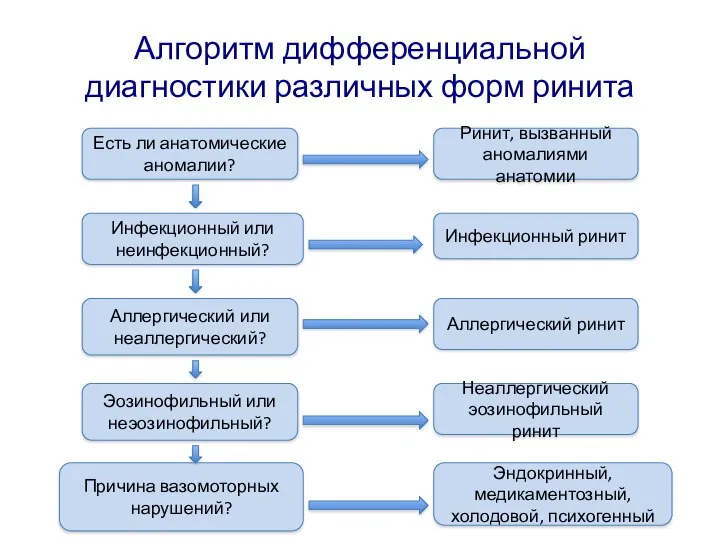 Алгоритм дифференциальной диагностики различных форм ринита Есть ли анатомические аномалии? Инфекционный или