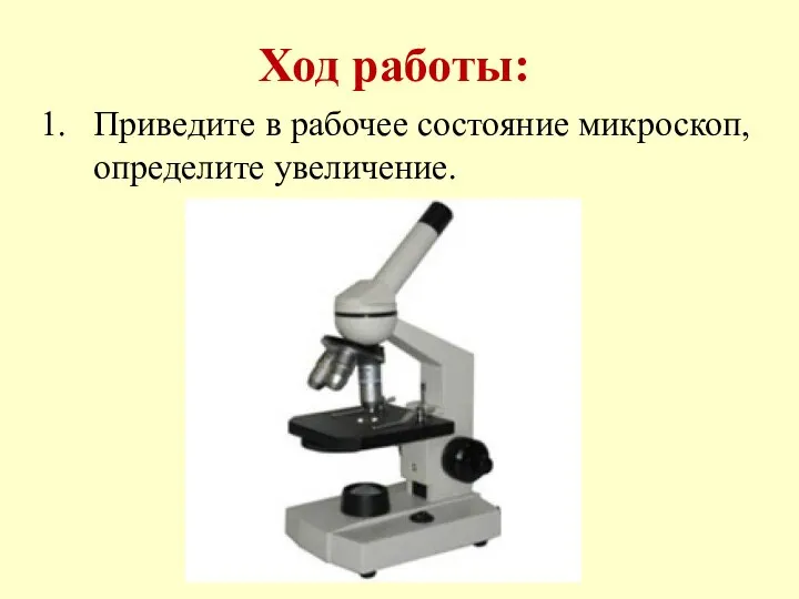 Ход работы: Приведите в рабочее состояние микроскоп, определите увеличение.