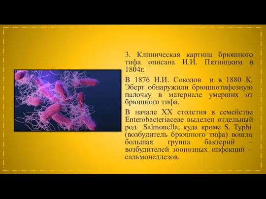 3. Клиническая картина брюшного тифа описана И.И. Пятницким в 1804г. В 1876