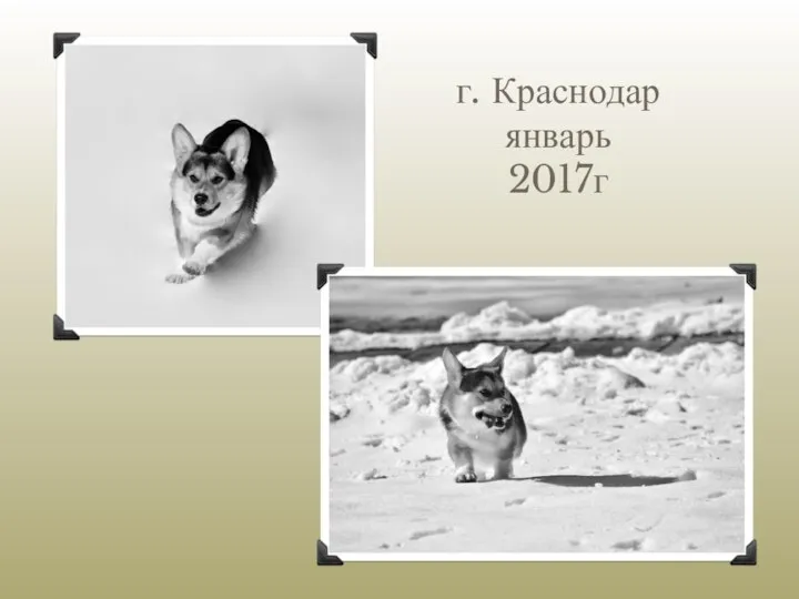 г. Краснодар январь 2017г