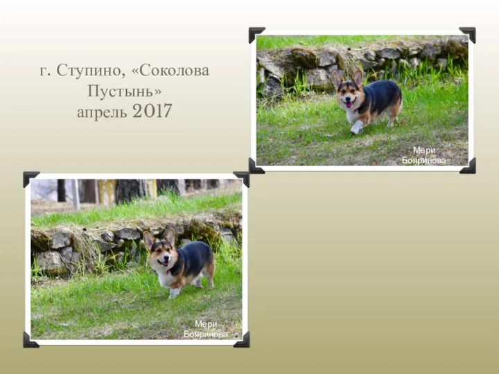 г. Ступино, «Соколова Пустынь» апрель 2017 М Мери Бояринова Мери Бояринова