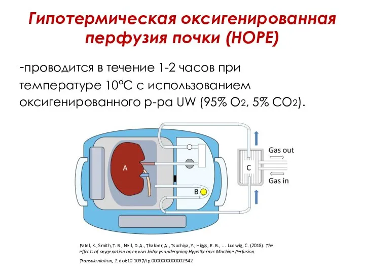Гипотермическая оксигенированная перфузия почки (HOPE) -проводится в течение 1-2 часов при температуре