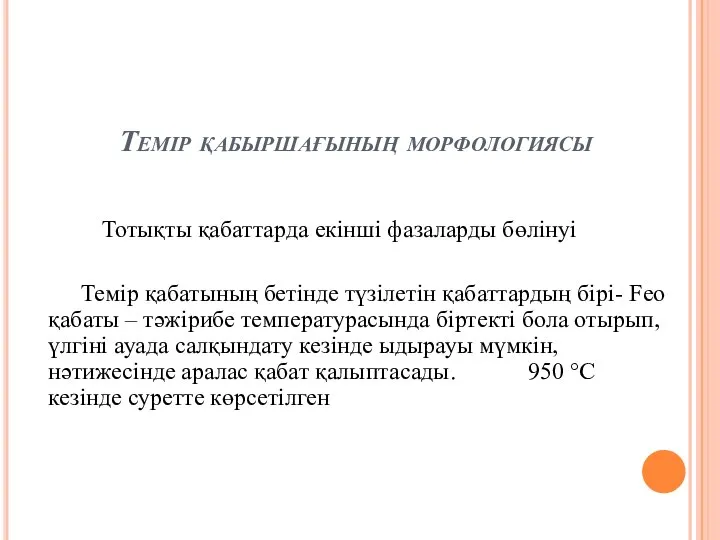 Темір қабыршағының морфологиясы Тотықты қабаттарда екінші фазаларды бөлінуі Темір қабатының бетінде түзілетін