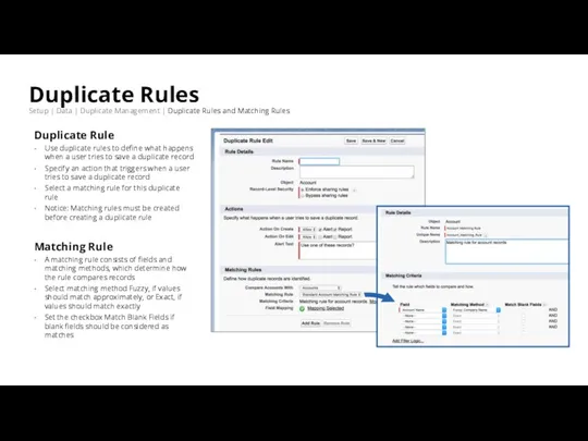 Duplicate Rules Setup | Data | Duplicate Management | Duplicate Rules and