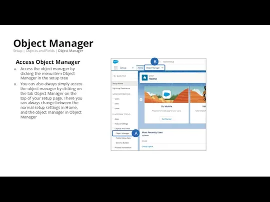 Object Manager Setup | Objects and Fields | Object Manager Access Object