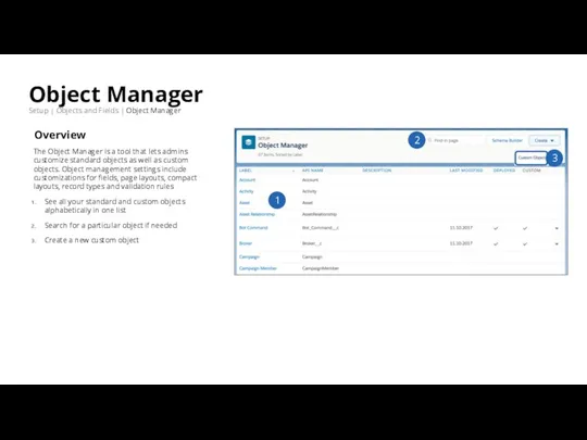 Object Manager Setup | Objects and Fields | Object Manager Overview The
