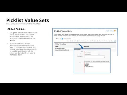 Picklist Value Sets Setup | Objects and Fields | Picklist Value Sets