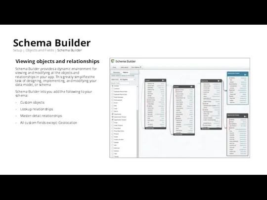 Schema Builder Setup | Objects and Fields | Schema Builder Viewing objects