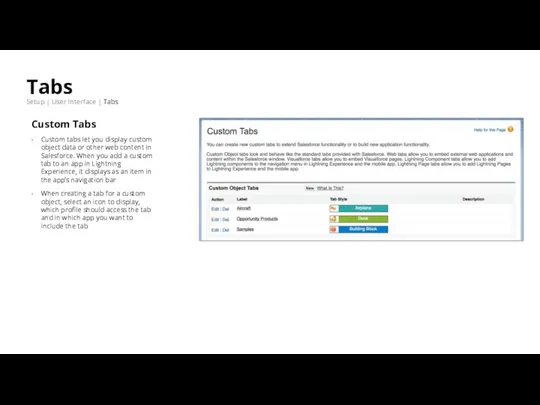 Tabs Setup | User Interface | Tabs Custom Tabs Custom tabs let