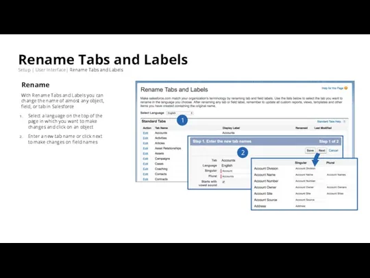 Rename Tabs and Labels Setup | User Interface| Rename Tabs and Labels
