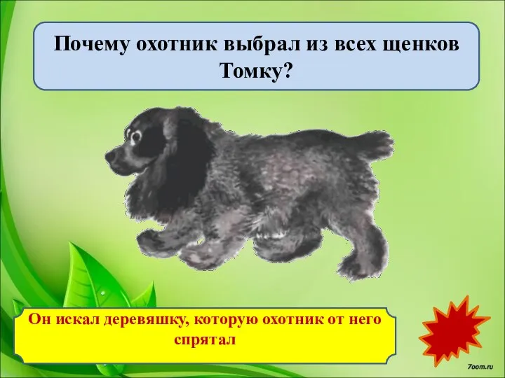 Почему охотник выбрал из всех щенков Томку? Он искал деревяшку, которую охотник от него спрятал