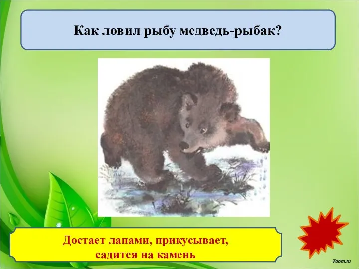 Достает лапами, прикусывает, садится на камень Как ловил рыбу медведь-рыбак?