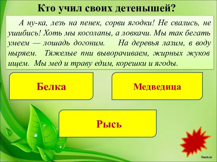 Кто учил своих детенышей? Белка Медведица Рысь А ну-ка, лезь на пенек,