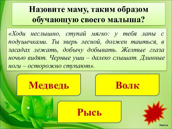 Назовите маму, таким образом обучающую своего малыша? Медведь Волк Рысь «Ходи неслышно,