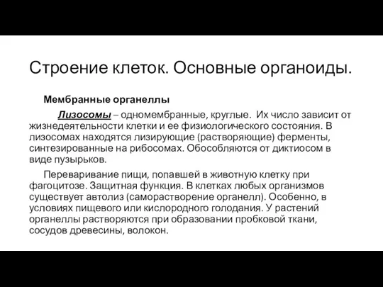 Строение клеток. Основные органоиды. Мембранные органеллы Лизосомы – одномембранные, круглые. Их число