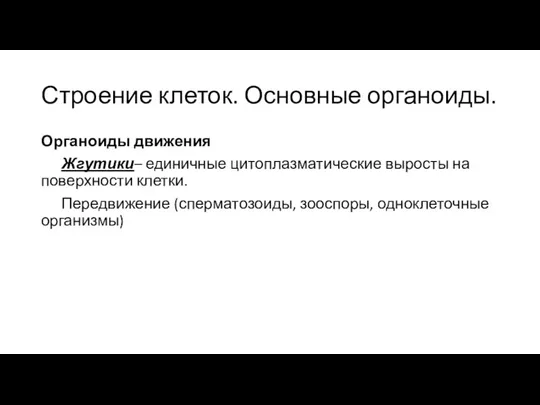 Строение клеток. Основные органоиды. Органоиды движения Жгутики– единичные цитоплазматические выросты на поверхности