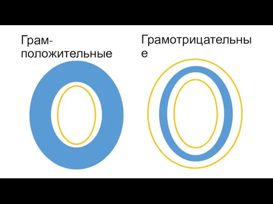 Грам-положительные Грамотрицательные